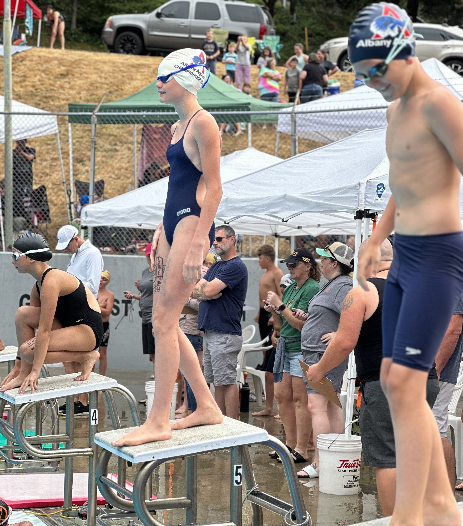 albany-aquatics-assoc-home